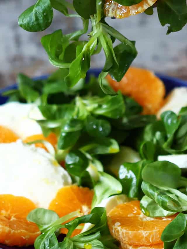 lamb's lettuce with oranges and mozzarella di bufala